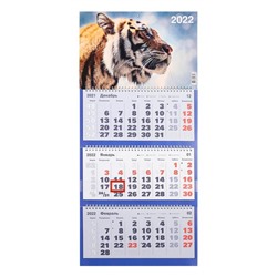 Календарь квартальный, трио "Символ года - 66" 2022 год, 31 х 69 см