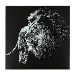 Картина "Чёрно-белый лев" 50*50 см