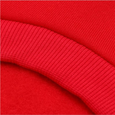Кофта новогодняя для животных "Санки", размер XL, красный (ДС 38, ОШ 30, ОГ 48 см)