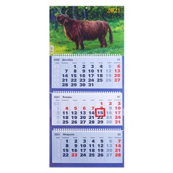 Календари квартальные трио "Символ года, 2021  - 29" 31 х 69 см