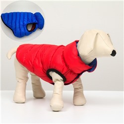 Куртка для собак двухсторонняя с воротником, ДС 26, ОШ 28, ОГ 44, красная/синяя