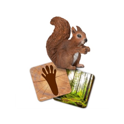 Набор обучающих карточек Schleich "Мир диких животных"