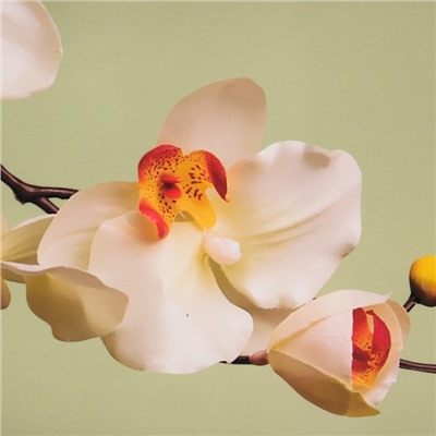 Кухонный фартук "Нежные орхидеи" (фотопечать) 3000х600 мм