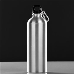 Фляжка-бутылка для воды "Классика", 750 мл, 7 х 24.5 см, серебро