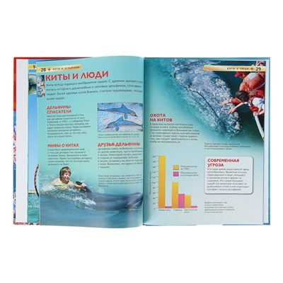 Детская энциклопедия «Киты и дельфины»