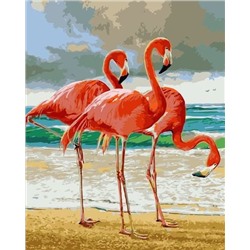 Картина по номерам 40х50 - Три фламинго