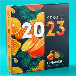 Грильяж «Яркого 2023» с арахисом, изюмом, цукатами апельсина и мёдом, 135 г.