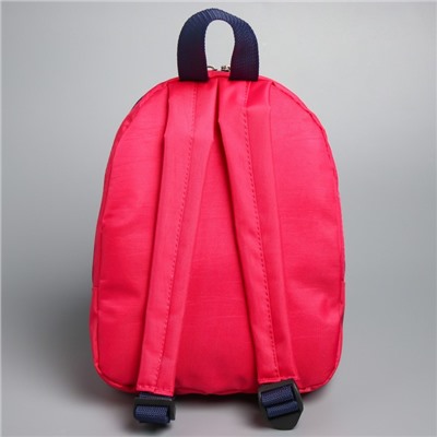 Рюкзак детский «Скай», 20 х 13 х 26 см, отдел на молнии, цвет МИКС