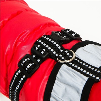 Куртка для собак со светоотражающей шлейкой, размер 10 (ДС 25, ОГ 34, ОШ 24), красная