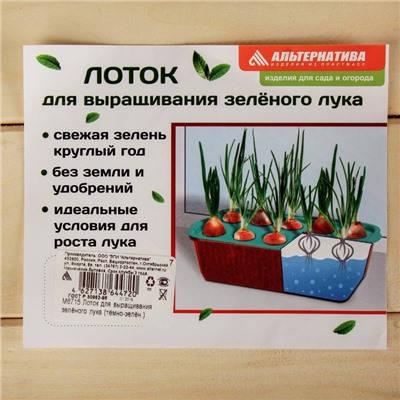 Лоток для выращивания зелёного лука, 29 × 16 × 8.5 см, цвет МИКС