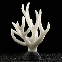 Декор для аквариума "Коралл" силиконовый, светящийся в темноте, 10 х 14 см, белый