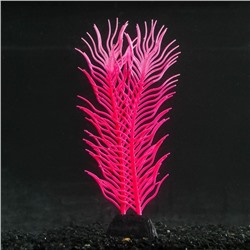 Растение силиконовое аквариумное, светящееся в темноте, 6,5 х 18 см, розовое