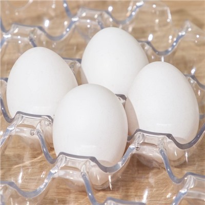 Органайзер для хранения яиц, 24 ячейки, 29×19,5×3 см, цвет прозрачный
