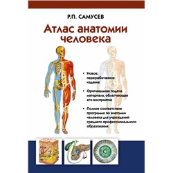 Атлас анатомии человека. Учебное пособие для студентов СПО 2021 | Самусев Р.П.