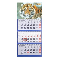 Календарь квартальный, трио "Символ года - 25" 2022 год, 31 х 69 см