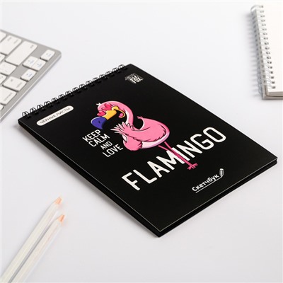 Скетчбук с черными листами "Flamingo", А5 40 л