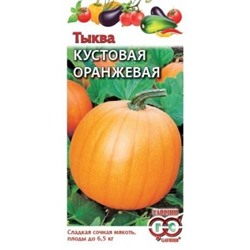 00485  Тыква Кустовая оранжевая 1,0 г