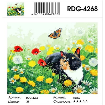 Картина по номерам 40х50 - Кошка и бабочка