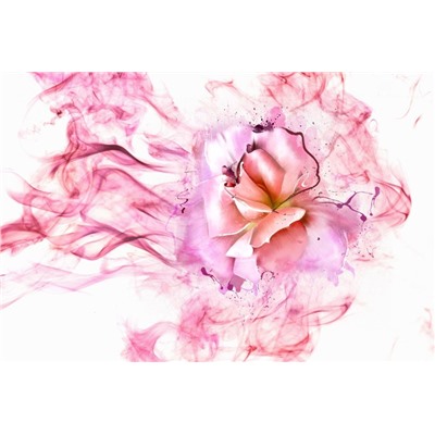 3D Фотообои «Перламутровая роза в розовой дымке»