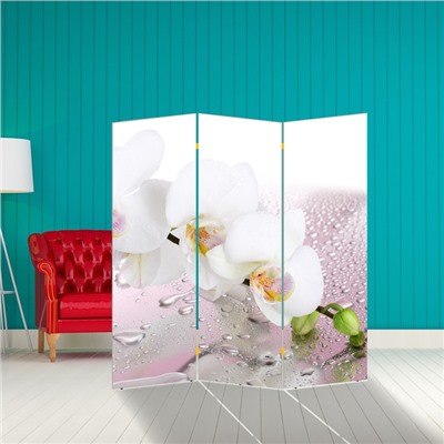 Ширма "Орхидея и капли воды", 160 × 150 см