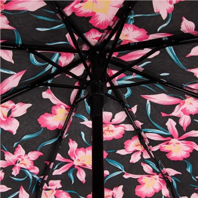 Зонт автоматический «Annabelle», ветроустойчивый. 3 сложения, 8 спиц, R = 46 см, цвет МИКС