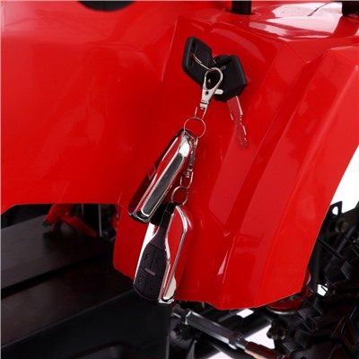 Квадроцикл электрический ATV M6 - 800W, цвет красный