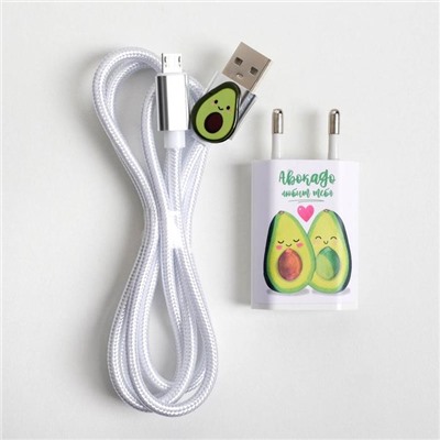 Набор кабель USB - micro USB и штекер «Авокадо», 1 м