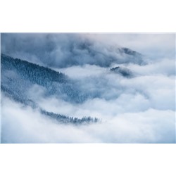3D Фотообои «Еловые склоны в голубом тумане»