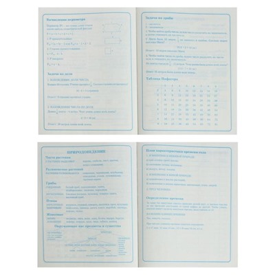 Дневник для 1-4 классов "В мечтах", твёрдая обложка, глянцевая ламинация, 48 листов