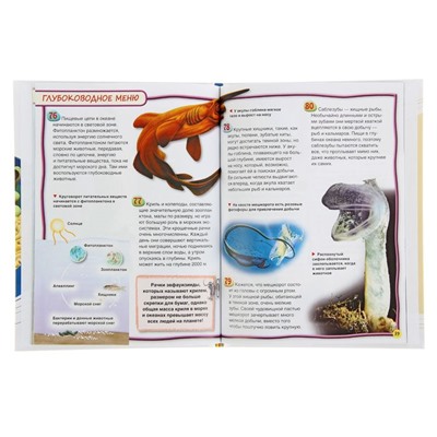 Энциклопедия для детей «Подводный мир»