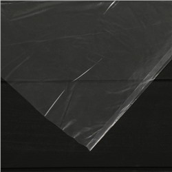 Плёнка полиэтиленовая, толщина 60 мкм, 3 × 100 м, полотно, прозрачная, 1 сорт, Эконом