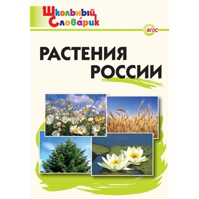 Растения России 2021 | Васильева Н.Ю.