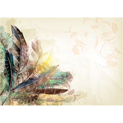 3D Фотообои «Букет из перьев с цветочным орнаментом»