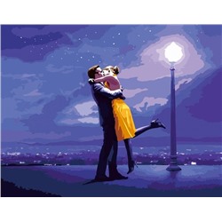 Картина по номерам 40х50 - Ночная романтика