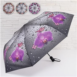 Зонт полуавтоматический «Роса», ветроустойчивый, 3 сложения, 8 спиц, R = 49 см, цвет МИКС