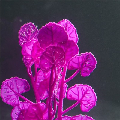 Растение силиконовое аквариумное, светящееся в темноте, 7 х 11 см, фиолетовое