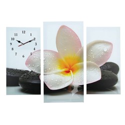Часы настенные, модульные, серия: Цветы, "Цветок на камнях", 60х80 см