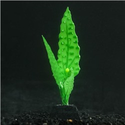 Растение силиконовое аквариумное, светящееся в темноте, 5 х 14 см, зелёное