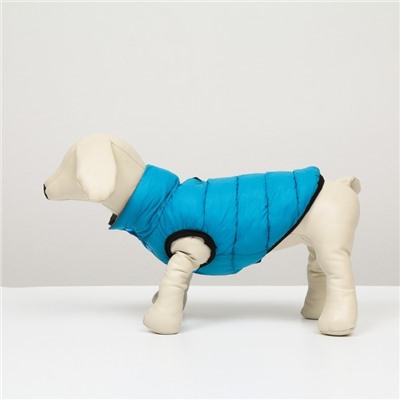 Куртка для собак двухсторонняя с воротником, ДС 24, ОШ 24, ОГ 40,  голубая/серая