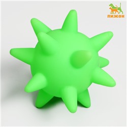 Игрушка пищащая "Вирус" для собак, 10 см, зелёная