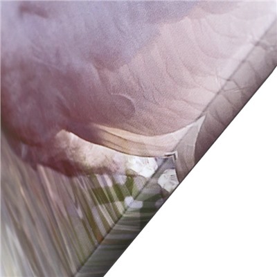 Картина модульная на подрамнике "Лебеди на фоне белых цветов" 2шт-21*54; 2шт-21*61; 21*68см