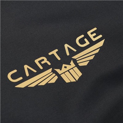 Термосумка Cartage Т-02, черная, 17-18 литров, 35х21х24 см