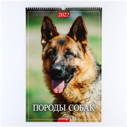 Календарь перекидной на ригеле "Породы собак" 2022 год, 320х480 мм