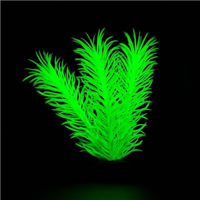 Растение искусственное аквариумное, светящееся, 8 см, зелёное