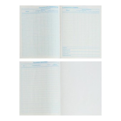 Дневник для 5-11 классов "Символика", твёрдая обложка, глянцевая ламинация, 48 листов