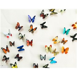 Прозрачные реалистичные бабочки 3D H1-004