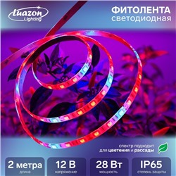 Фитолента светодиодная Luazon, 12 В, SMD5050, 2 м, IP65, 28 Вт, 60 LED/м, биколорная