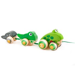 Каталка Hape «Семья лягушек на прогулке» для малышей