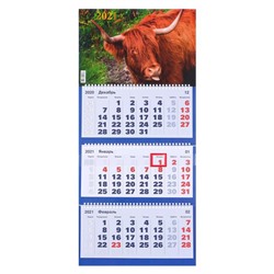 Календари квартальные трио "Символ года, 2021  - 21" 31 х 69 см