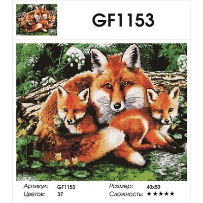 Алмазная мозаика 40x50 - GF1153